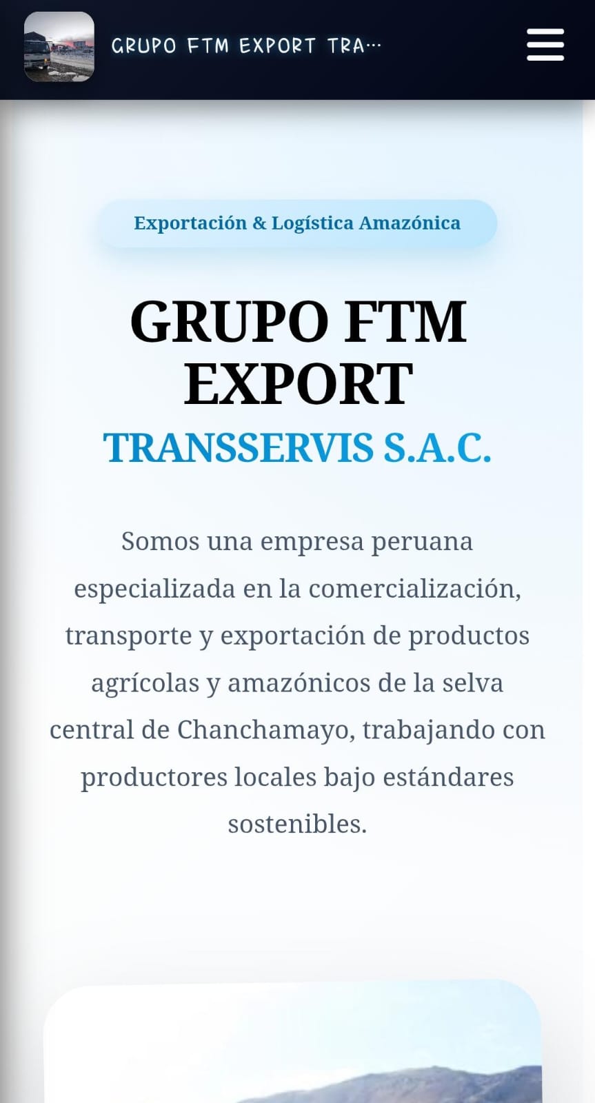 Página web 1